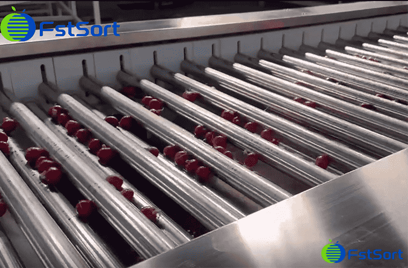 images/1746690259665cherry radish sorting machine.png
